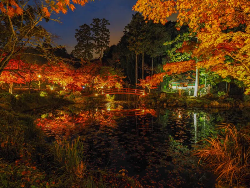 大原野神社の概要